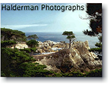 Halderman Photographs