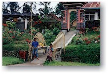 Girls in Bali, Indonesia 1994