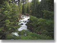 Benham Falls, Oregon