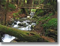 Bridge over Creek