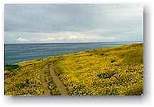 Cambria, California June 98
