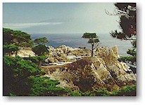 Carmel, California June 98