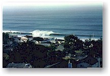 Surf