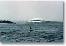 The Jetty
