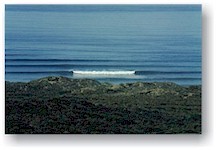Swell